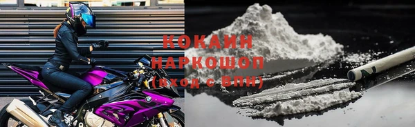 спиды Алзамай