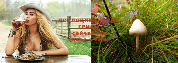 крисы Алексеевка
